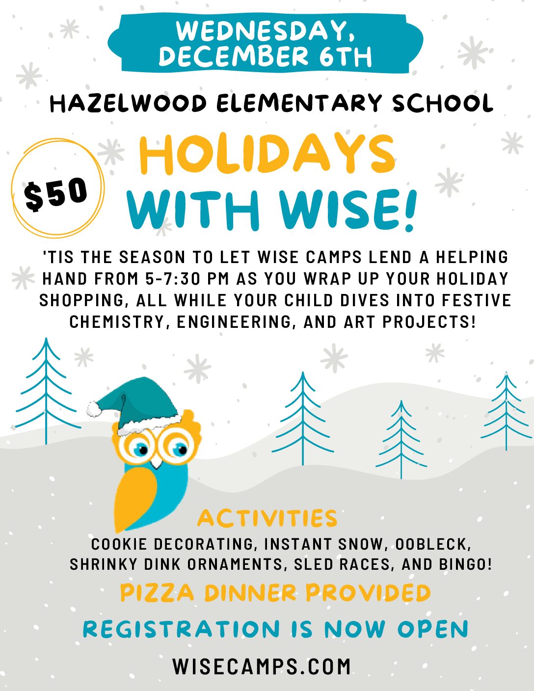 Wise Mini Camps | WISE Summer Camps